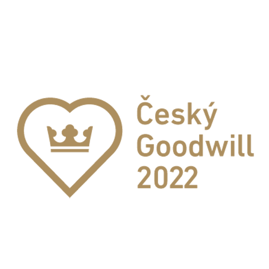 Pravidla projektu Český Goodwill 2022